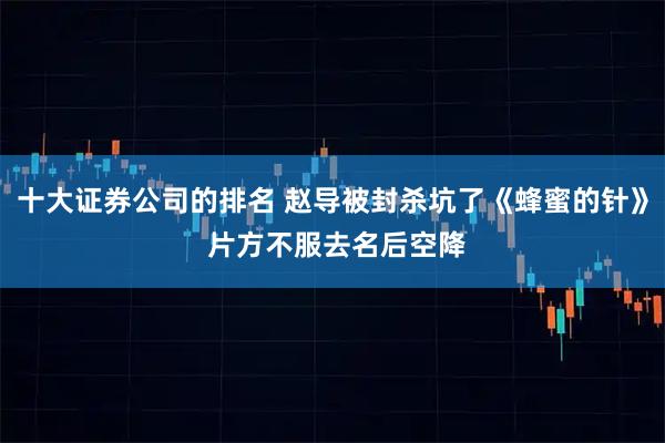 十大证券公司的排名 赵导被封杀坑了《蜂蜜的针》 片方不服去名后空降